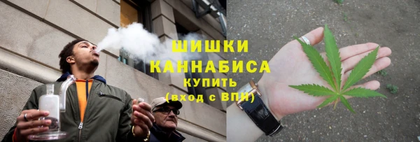 2c-b Рославль