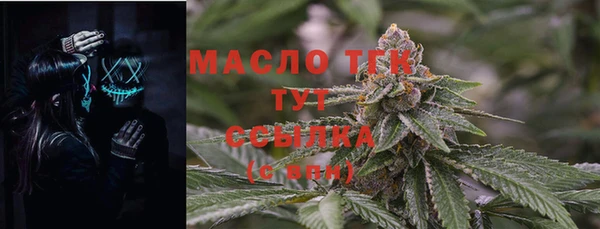 СК Пересвет