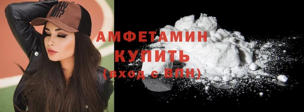 СК Пересвет