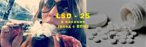 прущие грибы Пестово