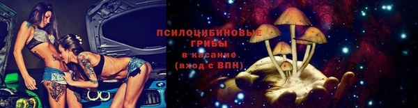 СК Пересвет