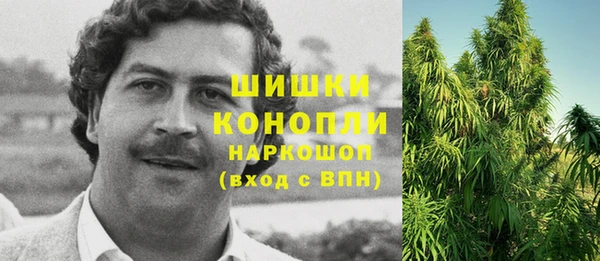 прущие грибы Пестово