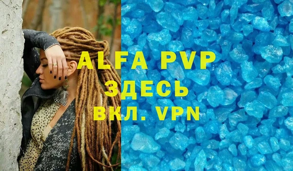 прущие грибы Пестово