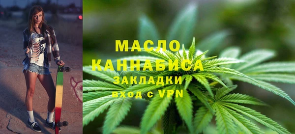 СК Пересвет