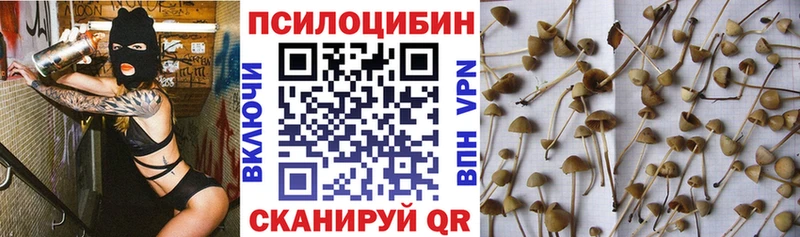 MEGA зеркало  Дальнереченск  Галлюциногенные грибы MAGIC MUSHROOMS 