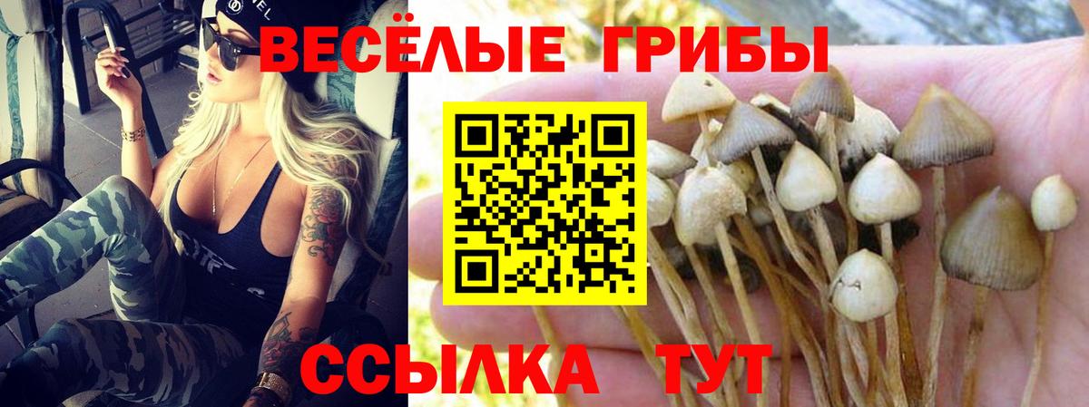 как найти закладки  Вход с VPN  Дальнереченск  Галлюциногенные грибы MAGIC MUSHROOMS 