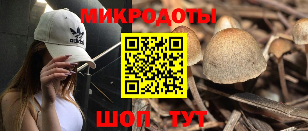 Галлюциногенные грибы прущие грибы Дальнереченск